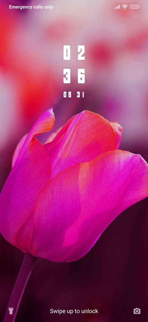 Field of Tulips_3MDS screenshot
