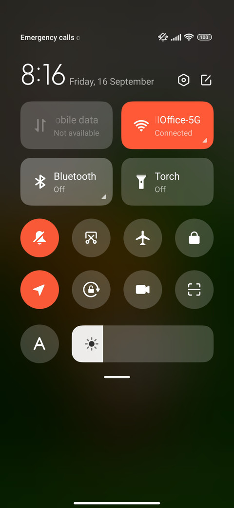 Baby squirrels screenshot