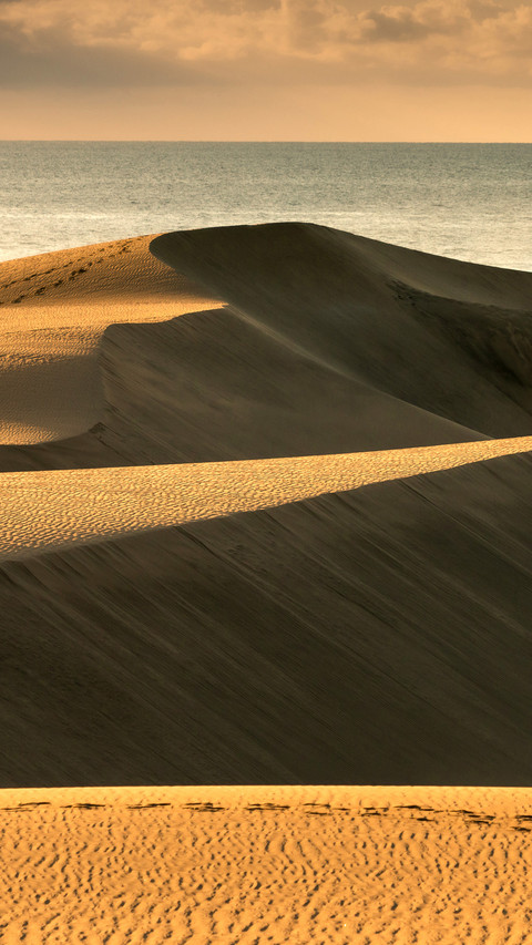 Maspalomas dunes in sunrise light screenshot