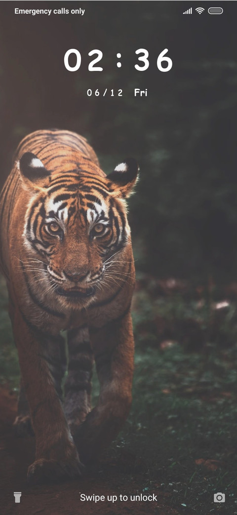 Tiger - Filter_3MDS screenshot
