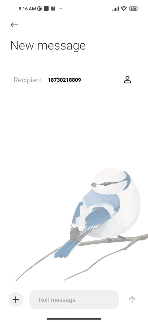 Blue Bird screenshot