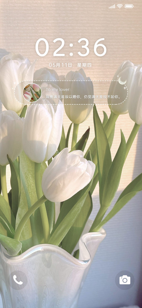 浪漫郁金香组件 screenshot