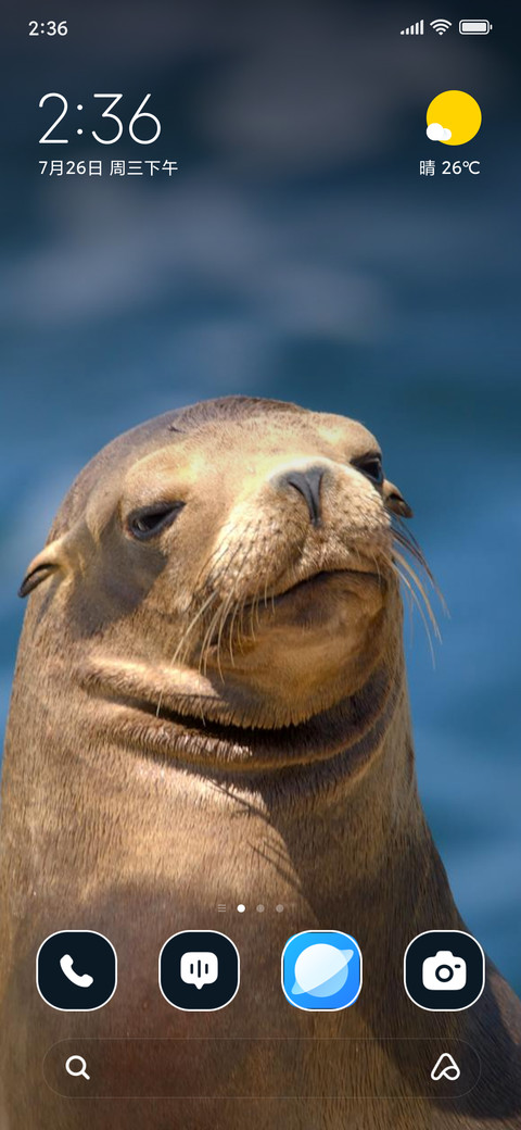 Seal in Sea screenshot
