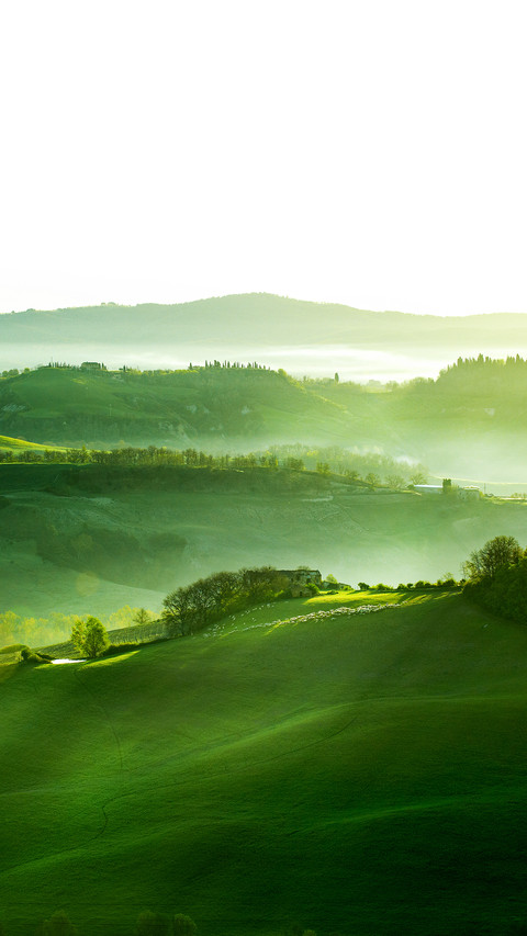 Countryside, San Quirico D`Orcia , Tuscany, Italy screenshot