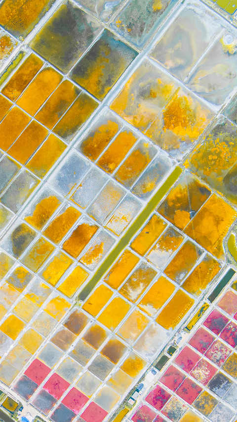 A colorful collage of the earth screenshot