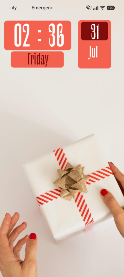 Santa Gift screenshot