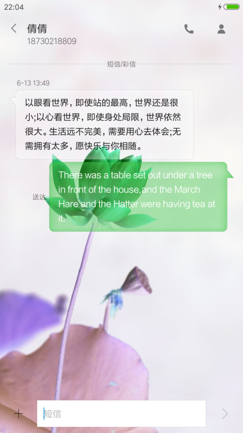 最美荷花（全图标） screenshot