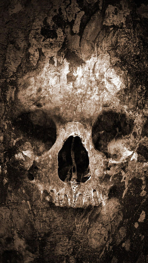 human skull screenshot