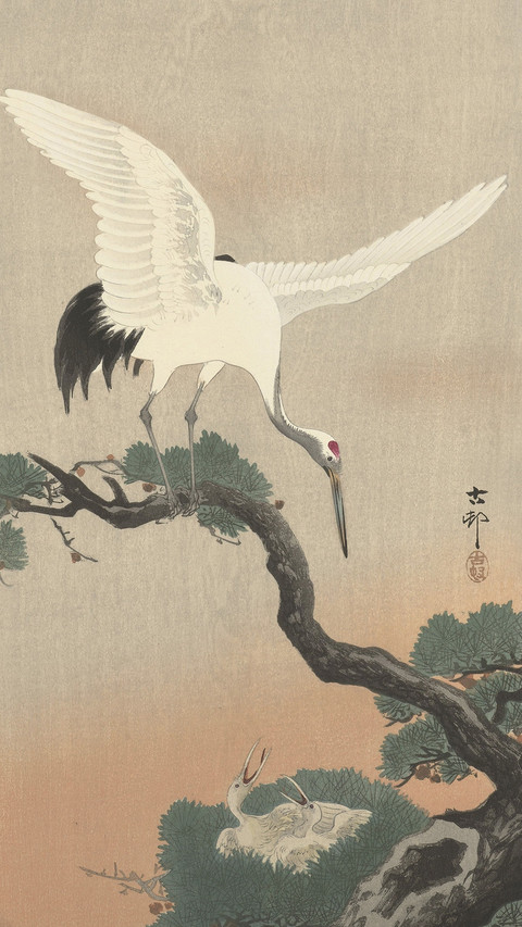 重阳节 screenshot