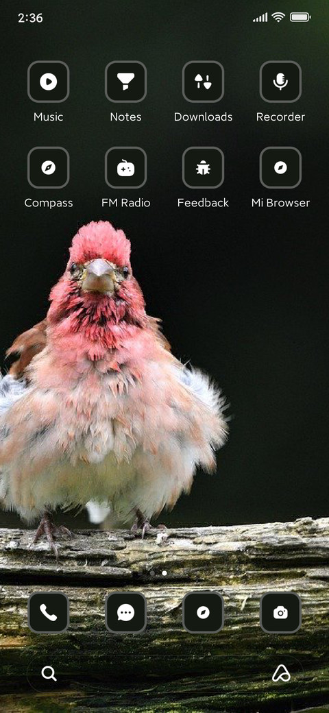 Bird screenshot