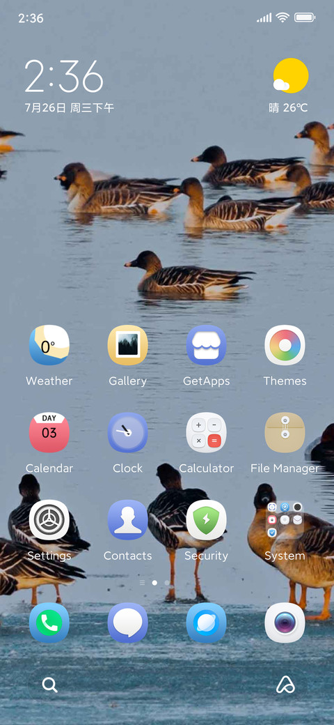bird watching screenshot