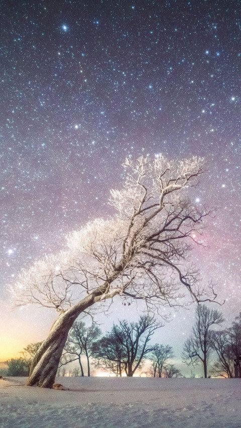 Winter starry sky in scenic area screenshot