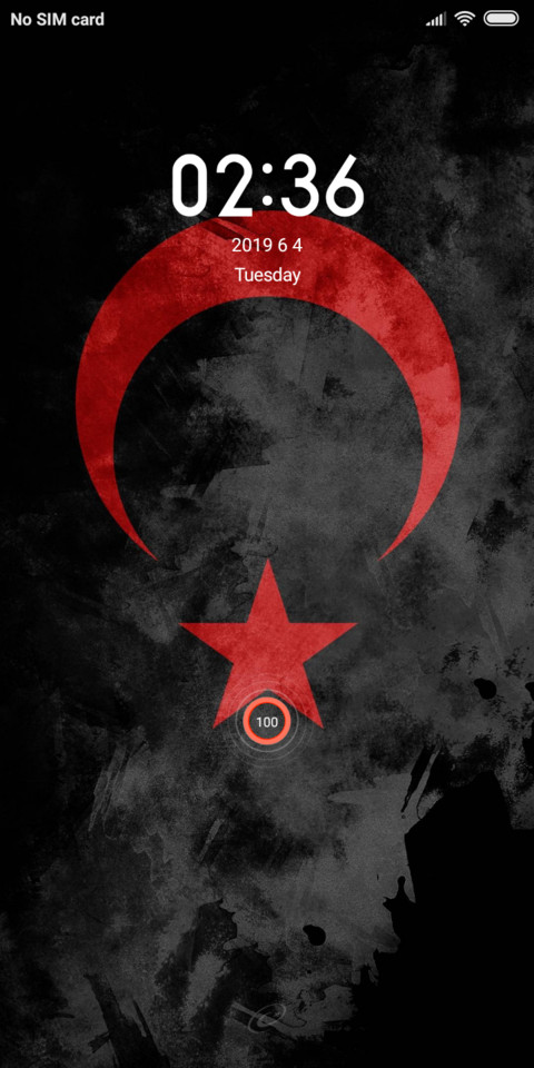 Turkey v10 screenshot