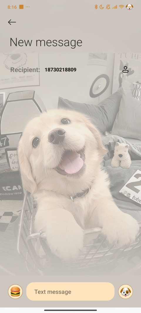 Golden retriever screenshot