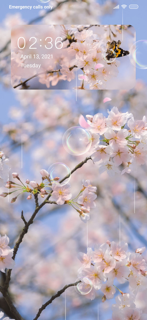Cherry Blossom screenshot