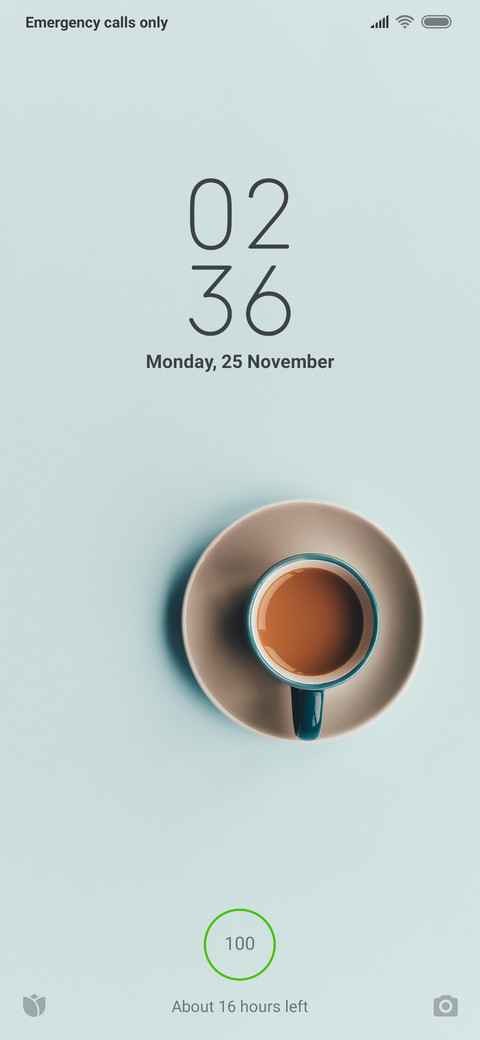 Coffee Ngapa Coffee screenshot