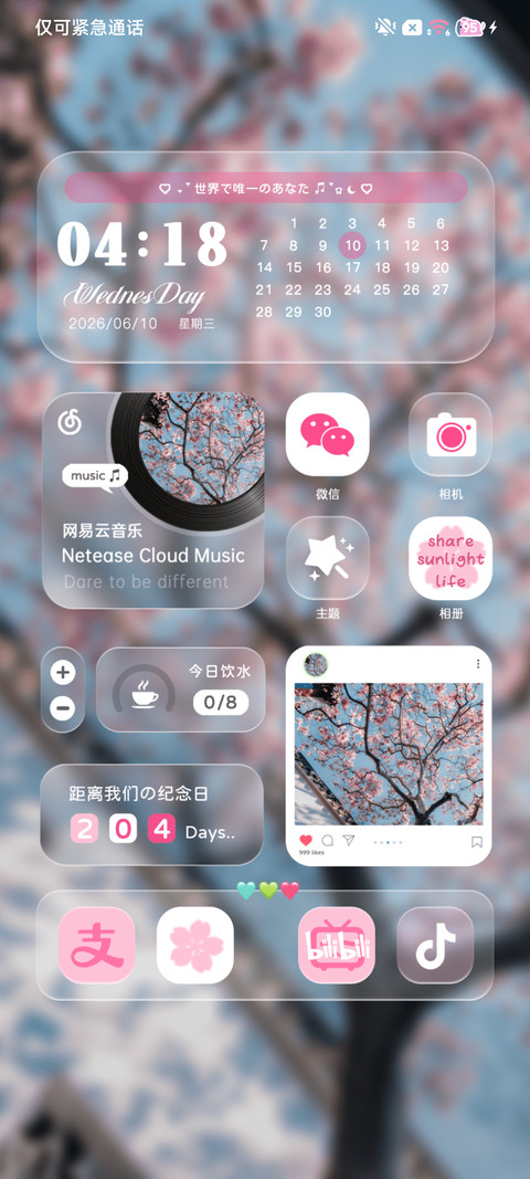 ins花与果实与风 screenshot
