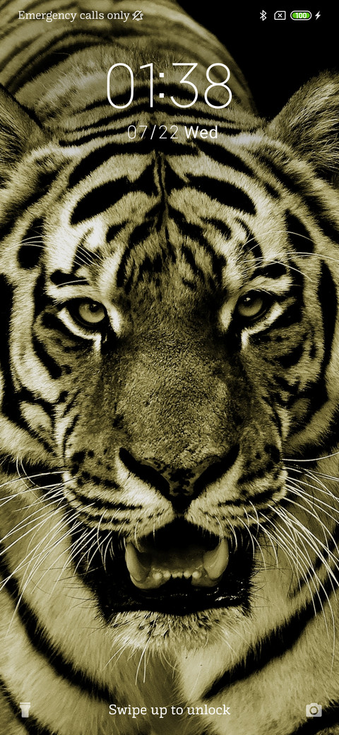 Tiger Eyes_3MDS screenshot