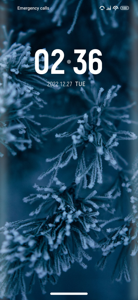 Elsa screenshot