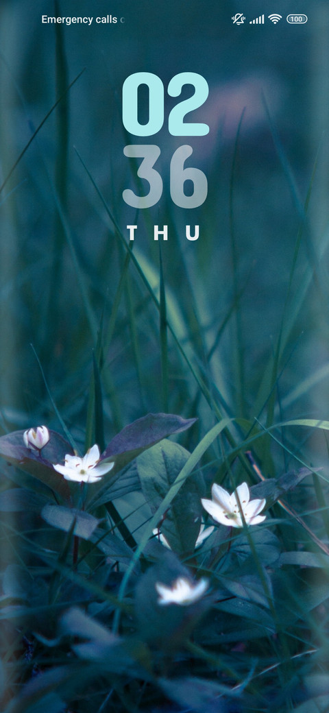 Flower_lilly screenshot