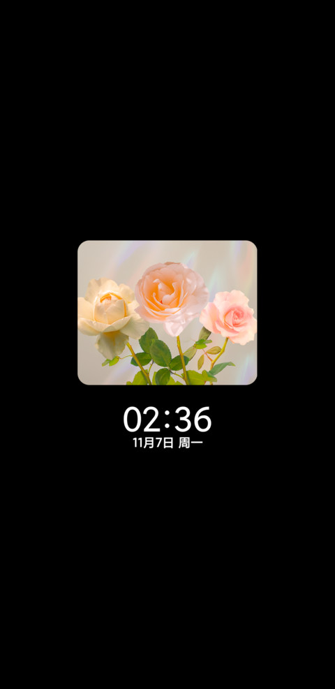玫瑰组件 午后惬意 screenshot