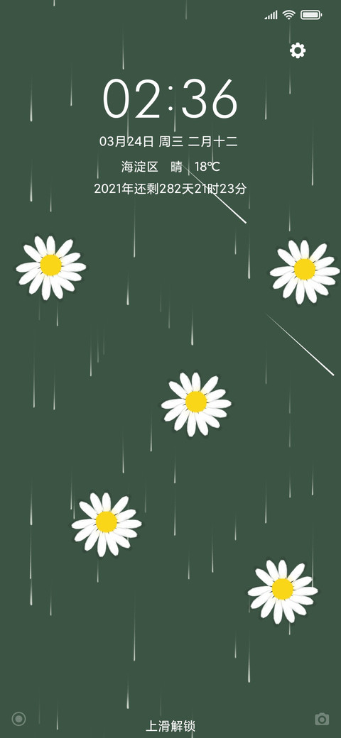 小雏菊 screenshot