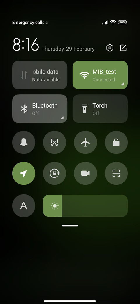 Green Mood screenshot