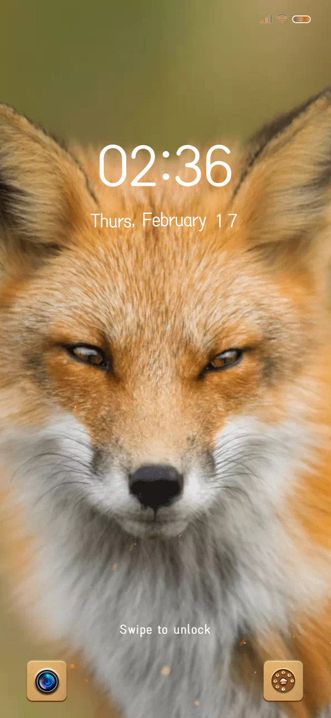 Handsome Fox screenshot