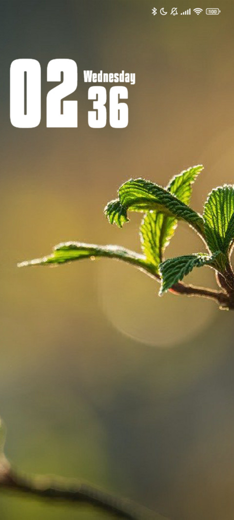 Leaves screenshot