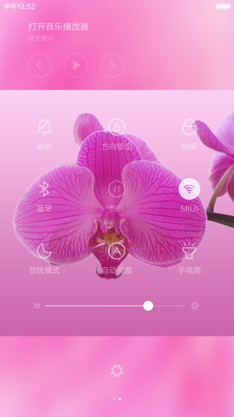 蝴蝶兰【全图标覆盖+高清壁纸】 screenshot