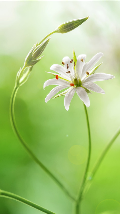 Spring scenery-29 screenshot