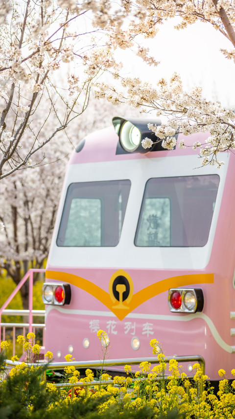 Cherry blossoms and trains screenshot