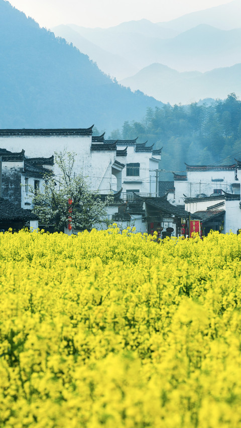 春是最深情的季节 screenshot
