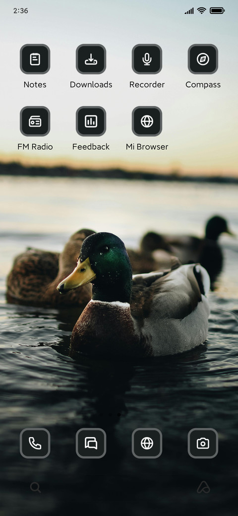 Duck screenshot