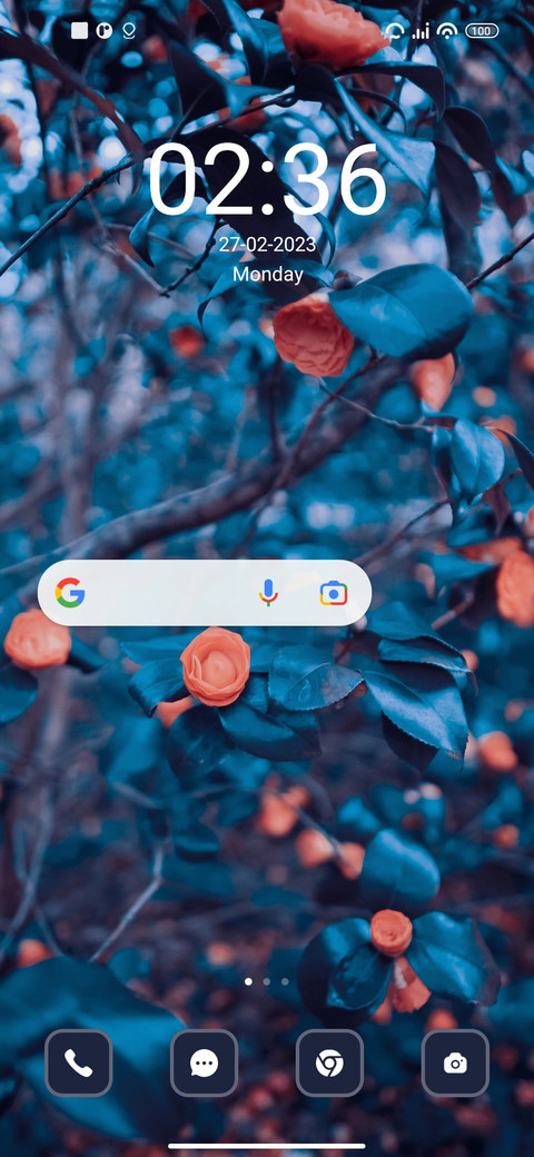 Flower screenshot