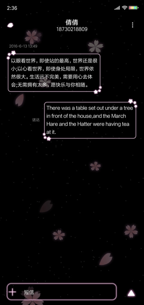 夜樱飞舞 screenshot