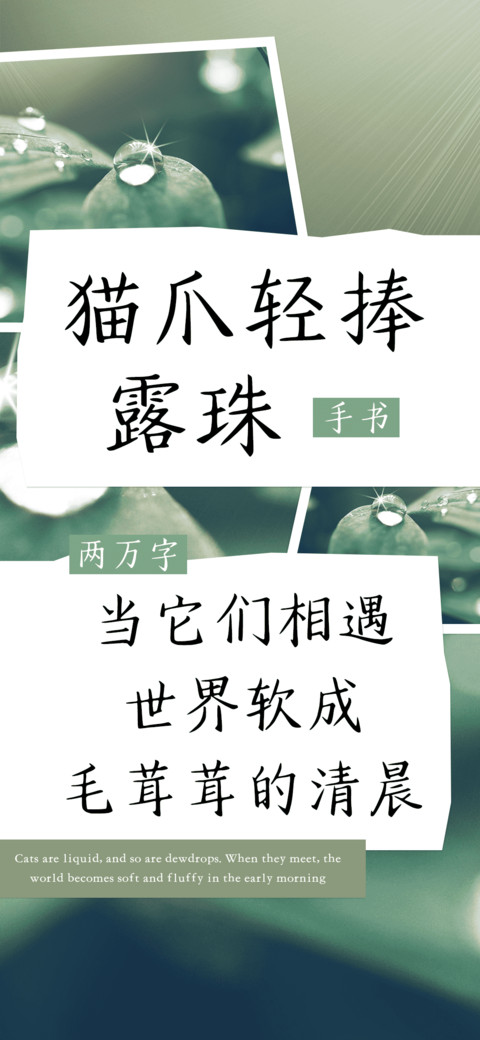 猫爪轻捧露珠 screenshot