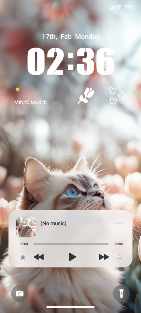 Ragdoll Cat screenshot
