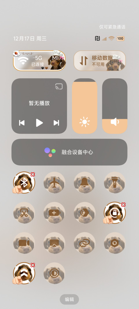 腊肠小狗学习壁纸 screenshot