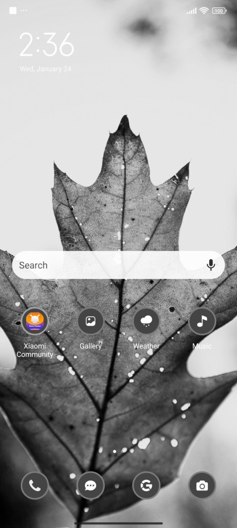 Winter Leaf screenshot