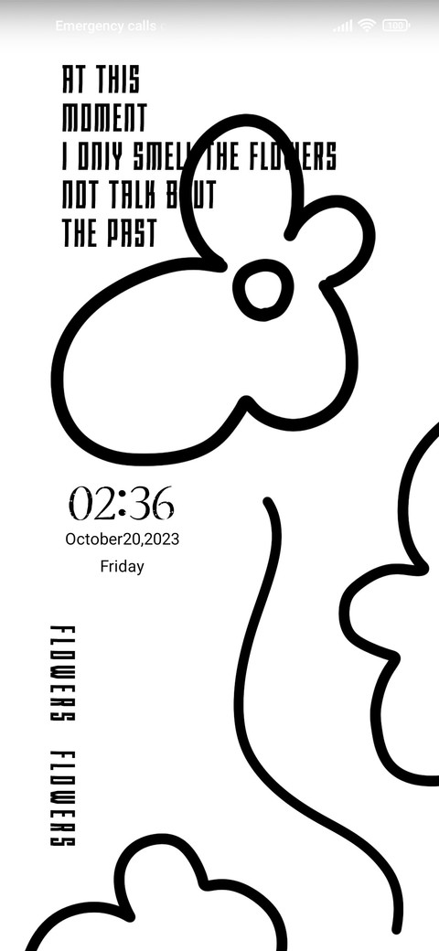 Black and white screenshot