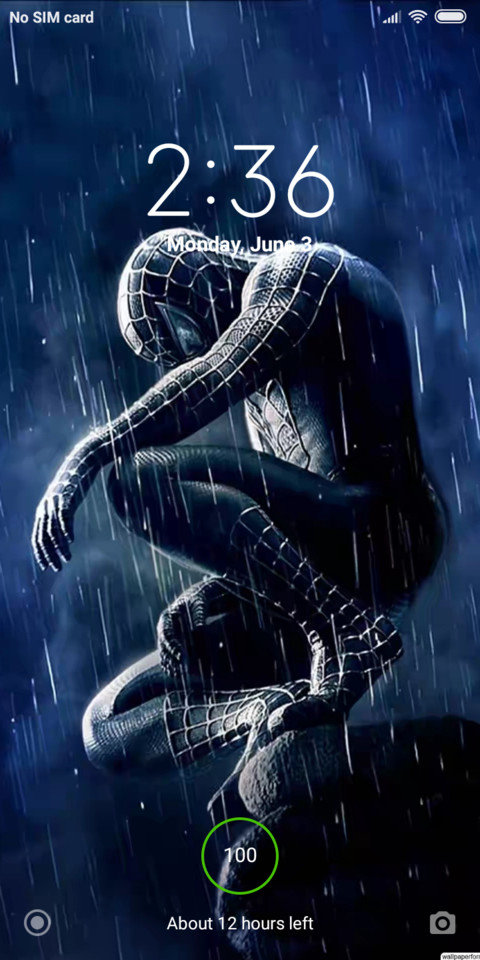 Spidy_DWM19 screenshot