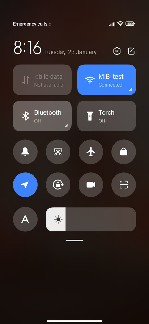 Sleeping in Spring screenshot
