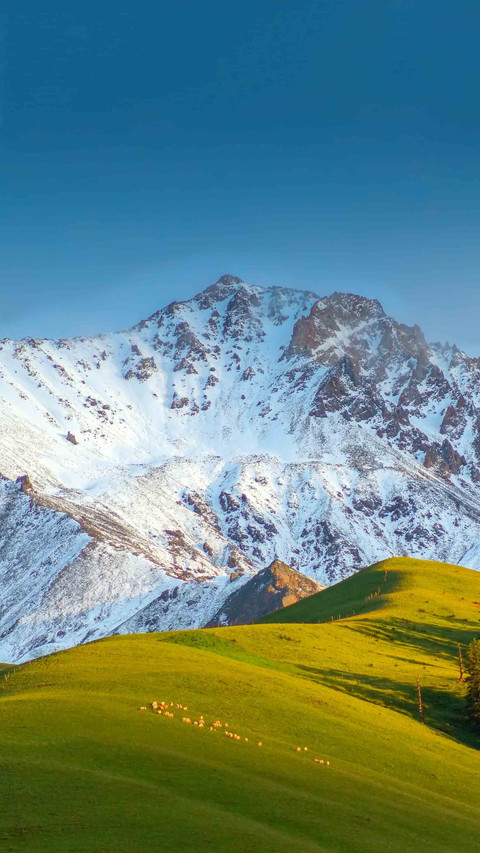 Can it still be gansu without it screenshot