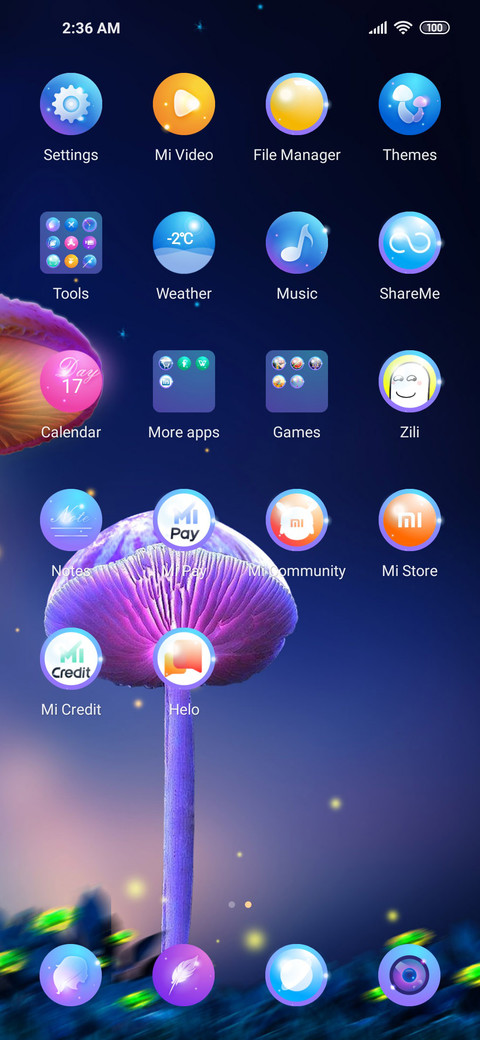 The mushroom screenshot