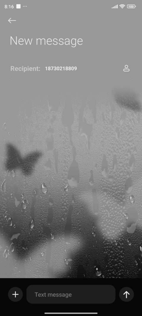 Butterfly beat screenshot