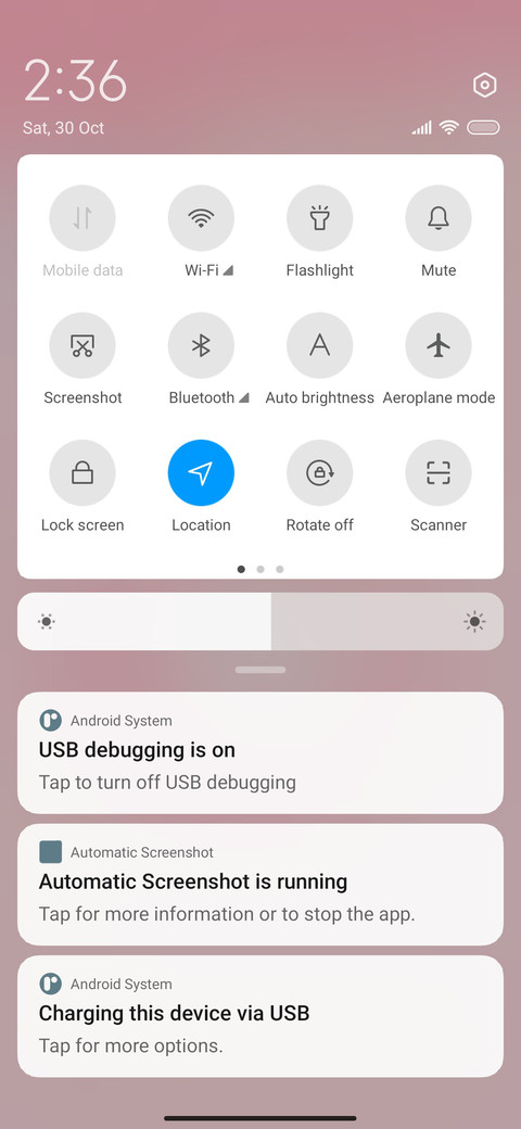 Donut bunny screenshot