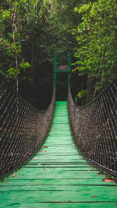 Bridge (14) screenshot