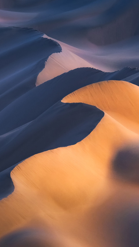 The desert is not alone screenshot