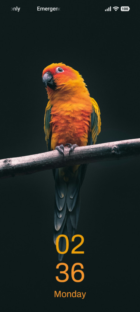 Ember Bird screenshot